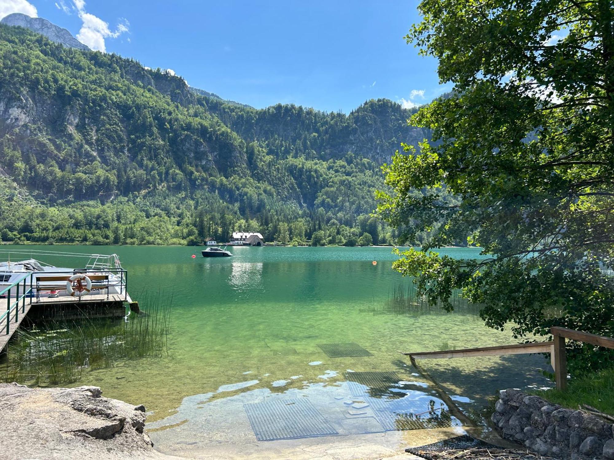 Seestern * Ort (Vocklabruck)
