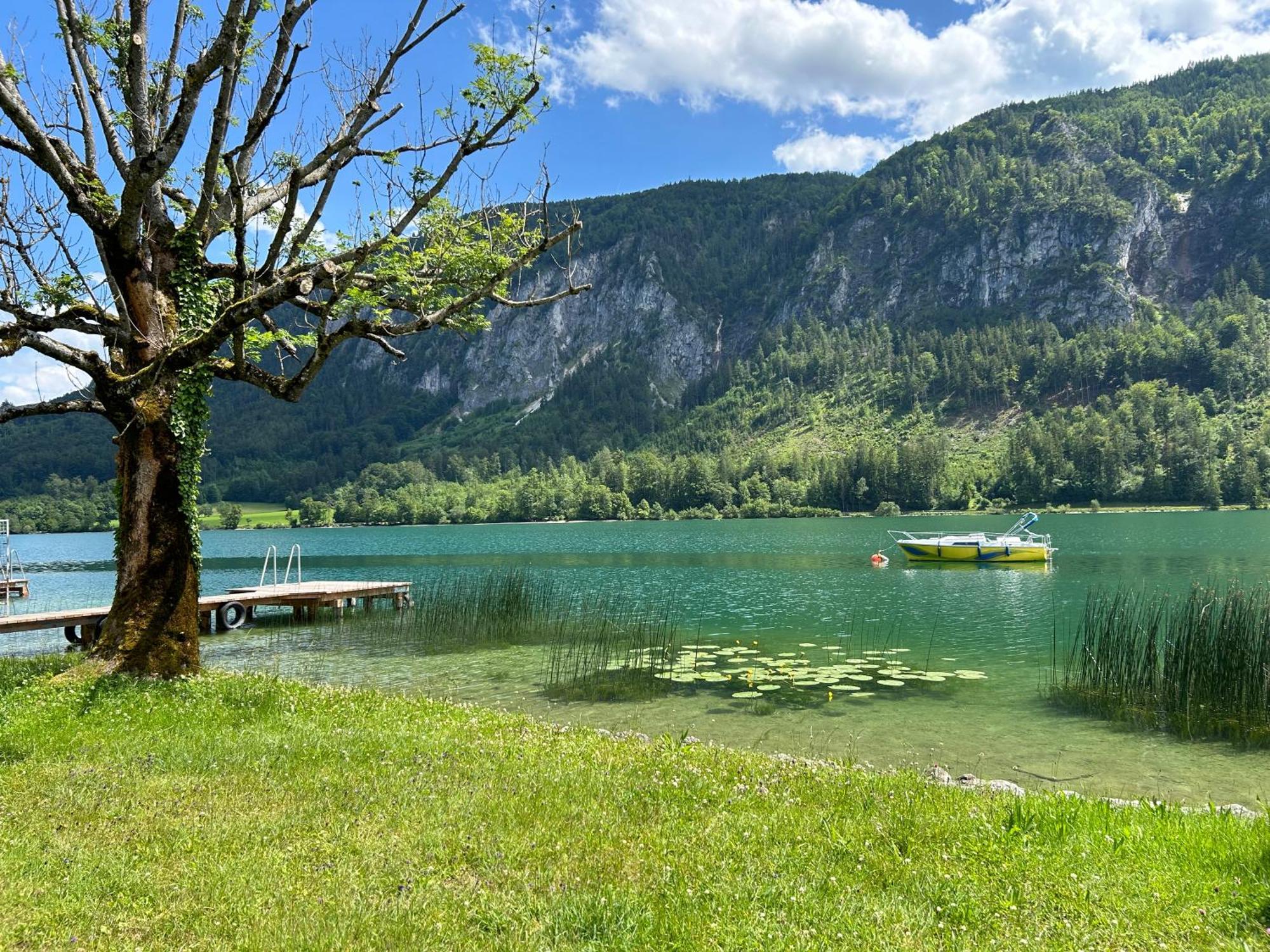 Seestern Ort (Vocklabruck)